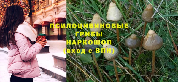 первитин Нягань