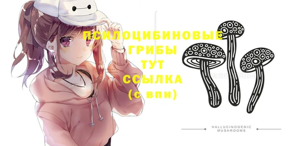 эйфоретик Нязепетровск