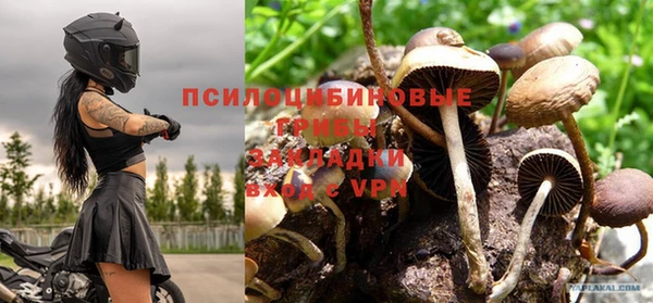 первитин Нягань
