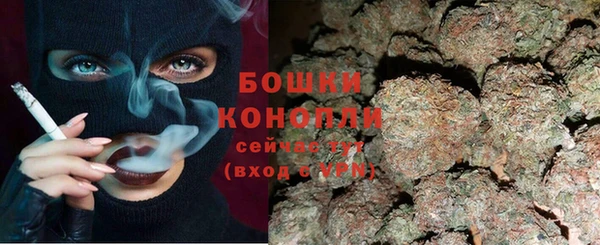 амф Щучье